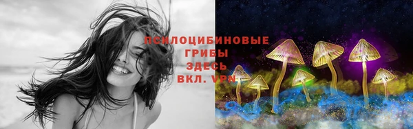 прущая мука Армянск