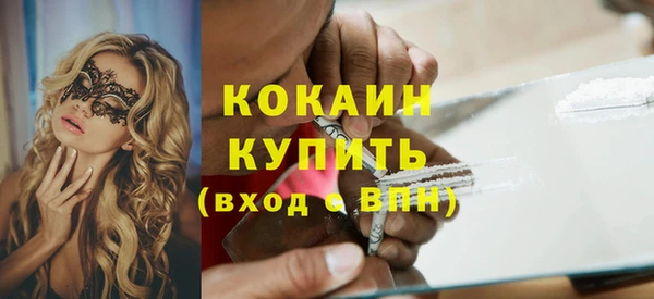 шишки Балахна