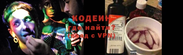 прущие грибы Покачи