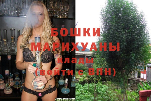 каннабис Аркадак