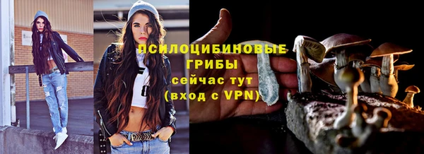 apvp Арсеньев
