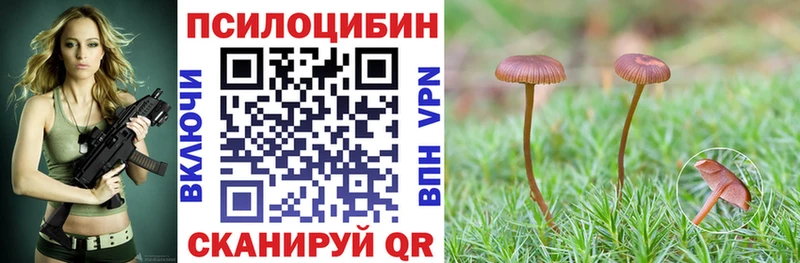 закладка  мориарти клад  Галлюциногенные грибы Cubensis  Полысаево 